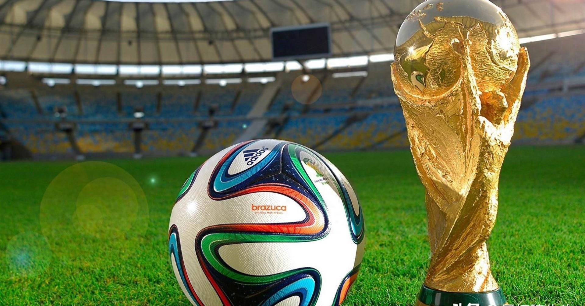 的果断执行 的果断执行