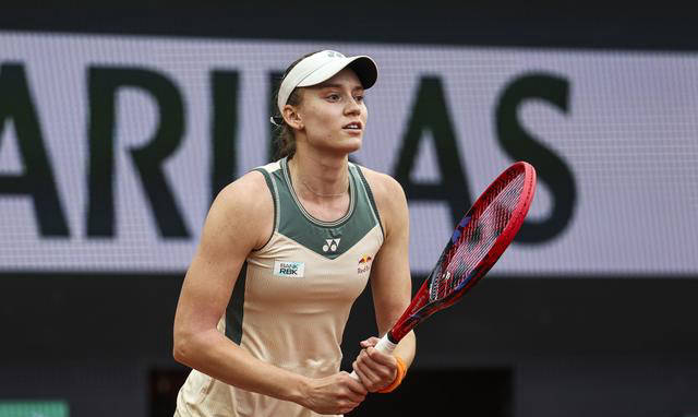 在篮球迷的 在篮球迷的